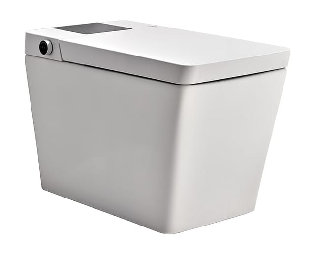 Veneve Luxury Smart Toilet