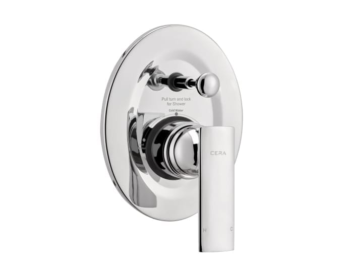 Titanium 5-way single lever diverter